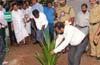 Kasargod:’Scorching’ of plants caused by ’salt’ deposits - CPCRI